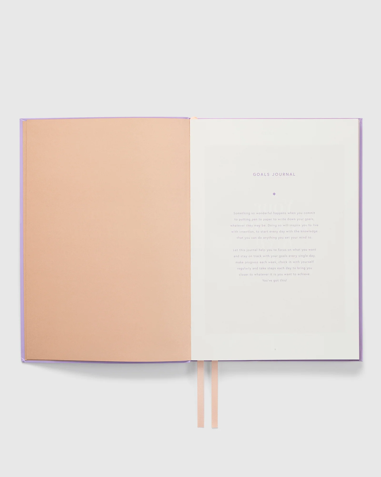 Journal Goals B5 - Image 6