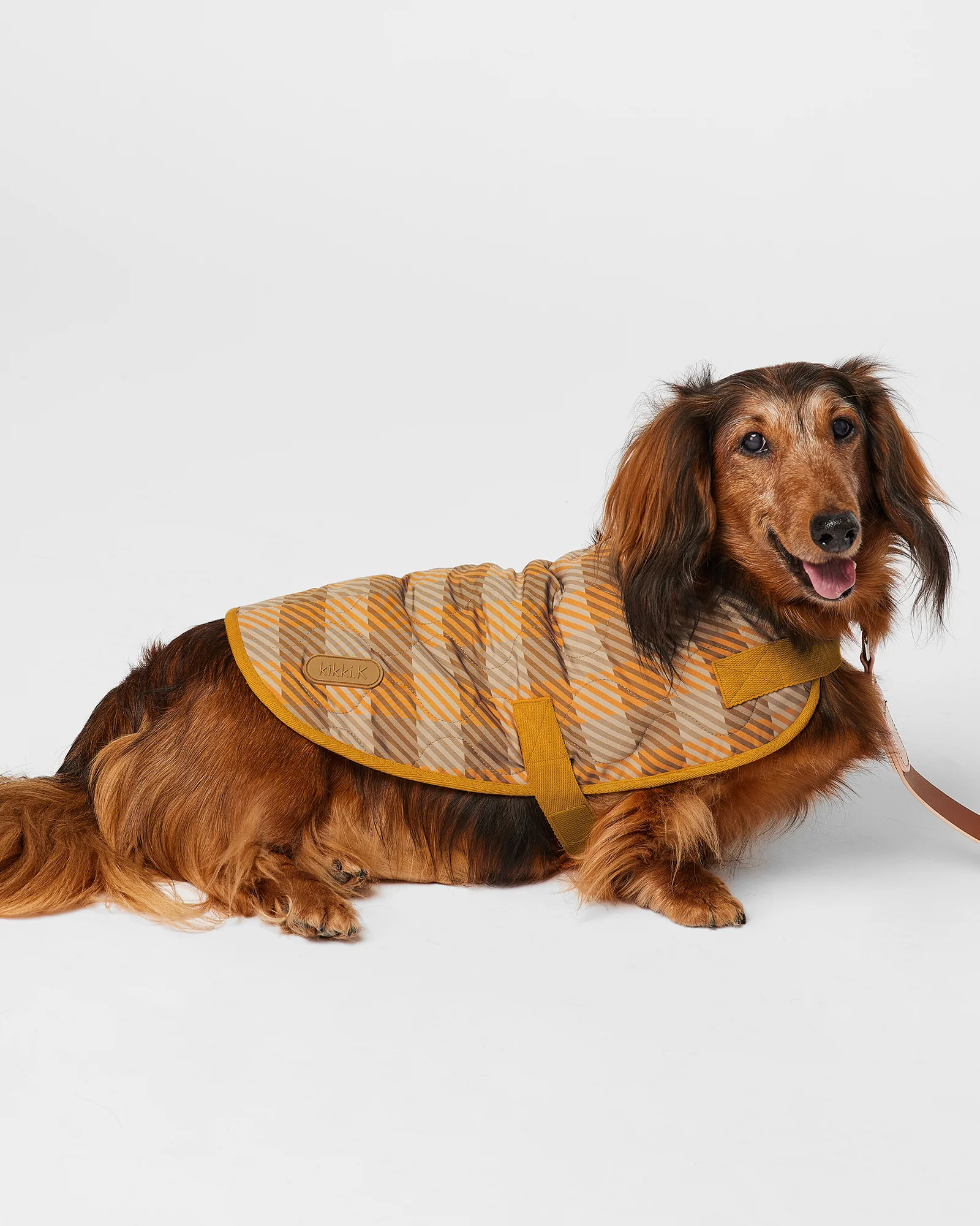 Pet Coat - Image 2