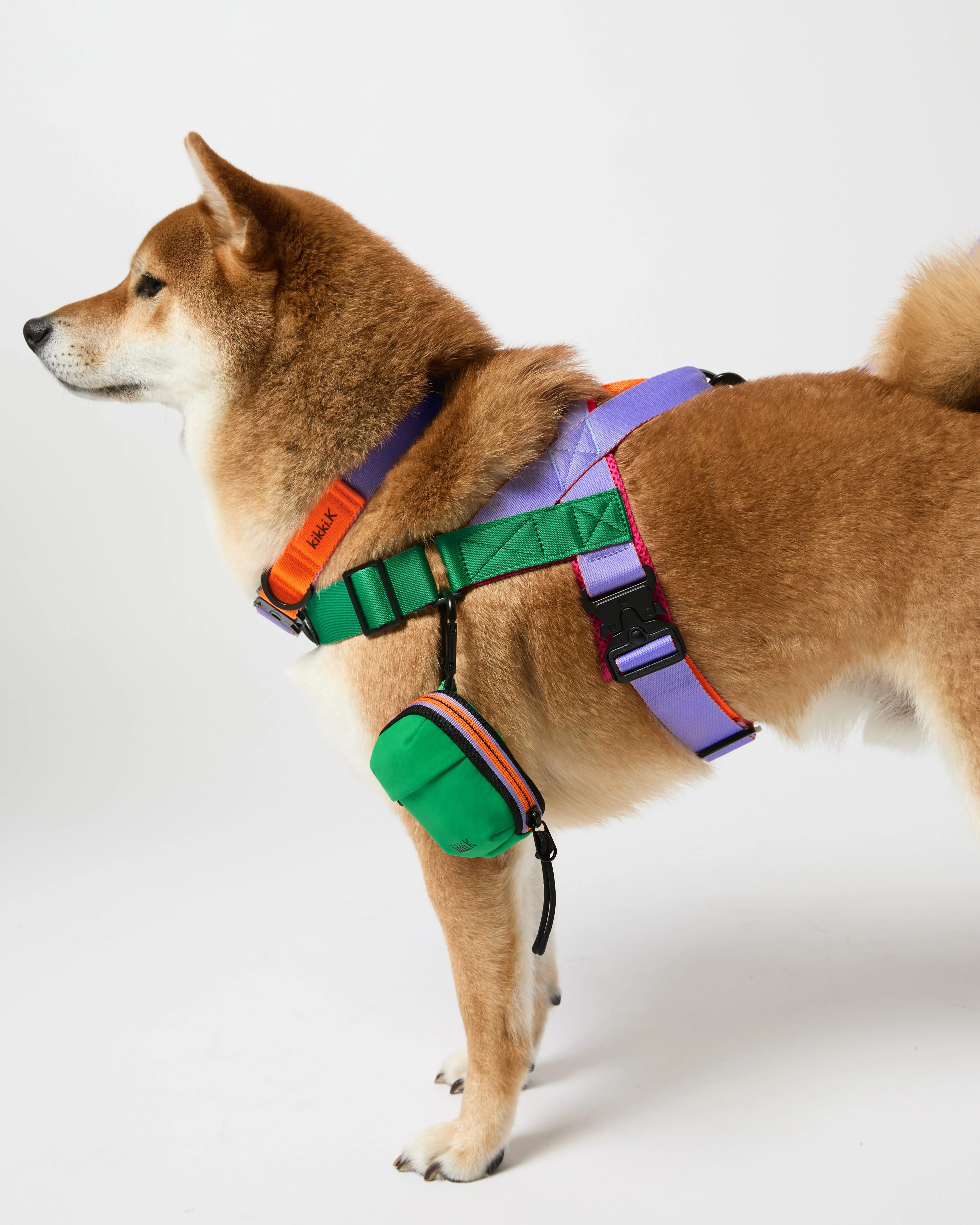 TREK. Pet Harness - Image 3